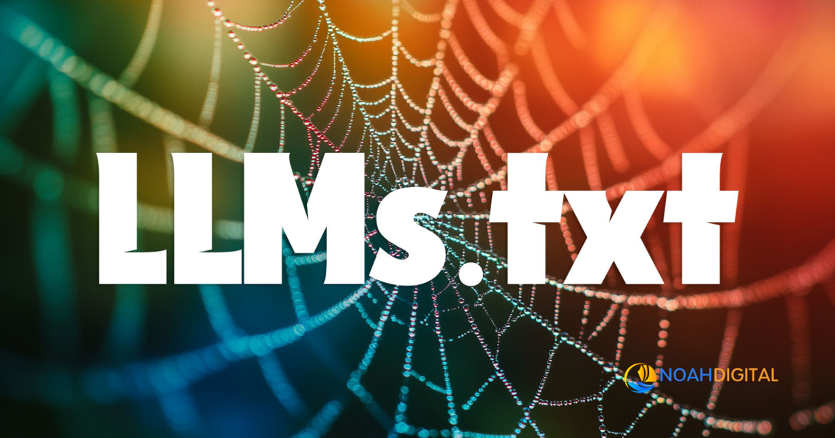 llms txt​